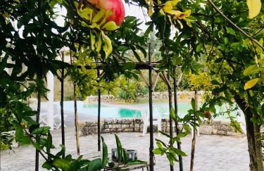 Masseria Trulli&Stelle B&B - Foto 27