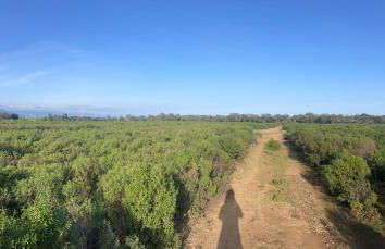 Maison familiale charmante - Foto 42