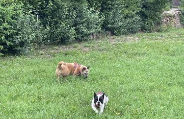 Schicke Ferien- und Monteurswohnung 53 qm Philippsburg - Foto 27