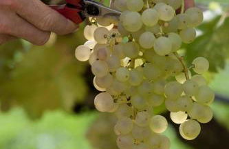 Nuit étoilée - Foto 21