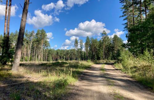 Przystanek Naglady Warmia- całoroczny, duża leśna działka - Foto 14