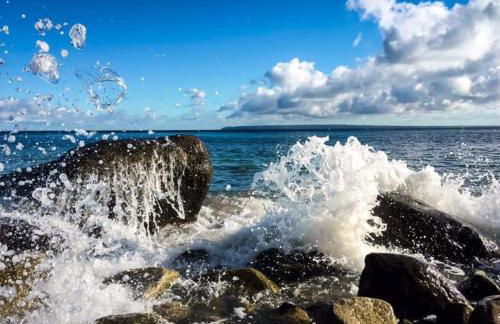 Ferienapartment Wiese & Meer auf Rügen - Foto 44