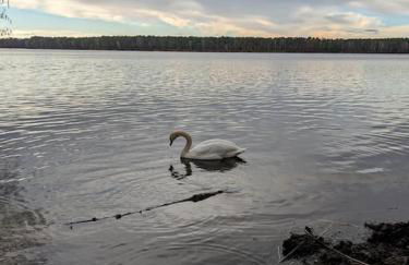 Haus am See - Foto 9