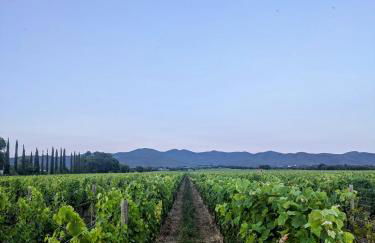 Agriturismo I Debbi - Foto 65