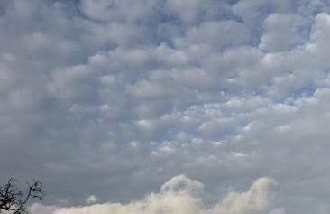 Coulin Farmhouse - Photo 20