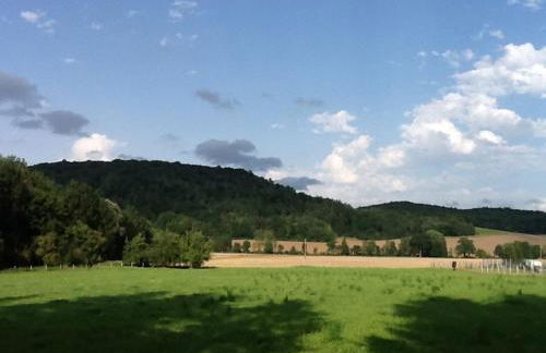 Au Repos De La Blaise - Foto 11