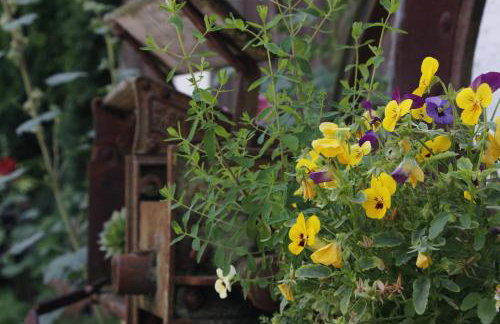 Döllelhof Erding - Foto 24