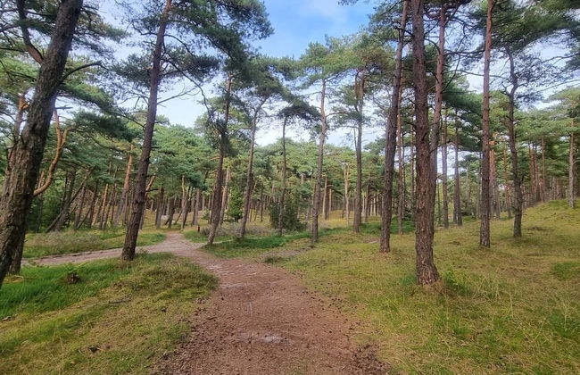 12 Person Holiday Home in Romo - Foto 10