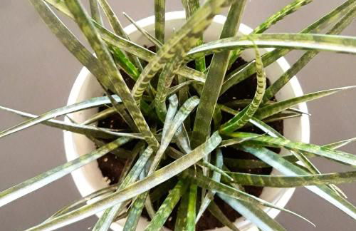 #staywild29 - Gemütliche Ferienwohnung im Allgäu - Foto 8