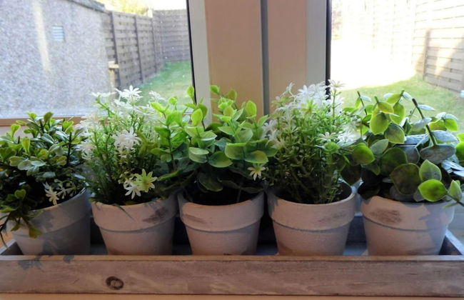 Stanefield House Motherwell - Photo 35