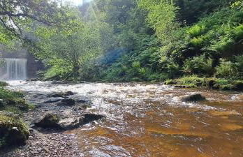 Elm Grove - Photo 19