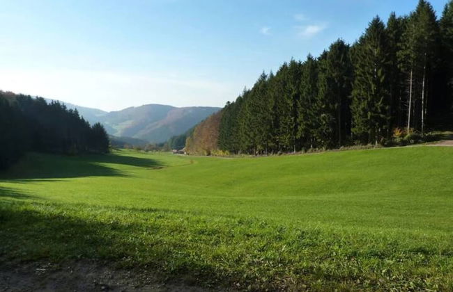 Hideaway Near Black Forest - Foto 32