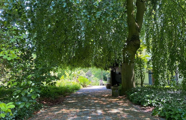 Holiday Home in Leende for ten Person - Foto 30