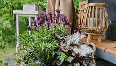 DOMAGAŁA domek całoroczny - Foto 2