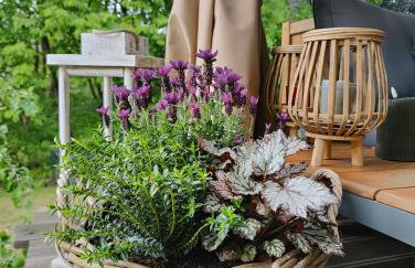 DOMAGAŁA domek całoroczny - Foto 2