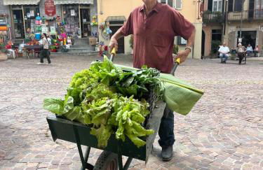 La Famulenta garden apartment - Foto 17