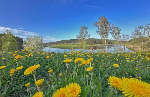Chalet Bliss am Seeufer, Neunburg vorm Wald - Foto 29