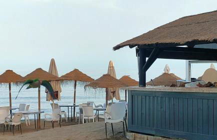 El barquito del abuelo - Photo 35