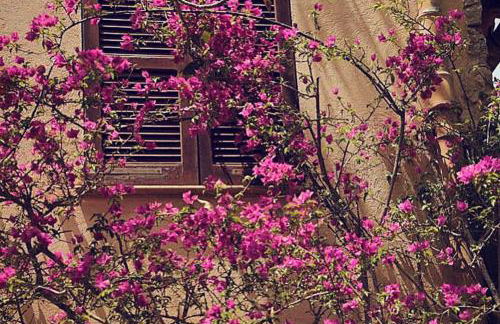 Finca Ses Eres - Foto 7