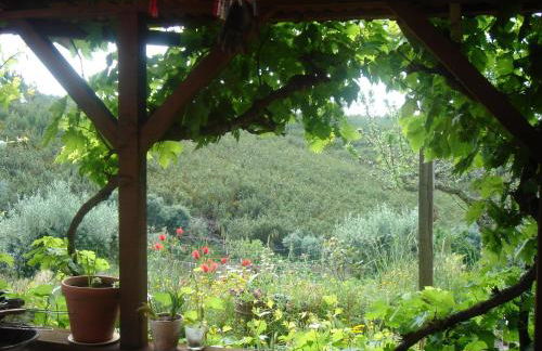 Vale de Garcia AL 5357 - Foto 31