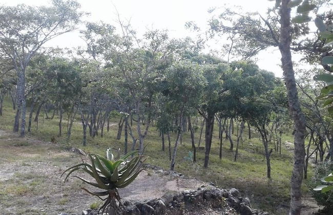 Paz Cottage - Foto 30