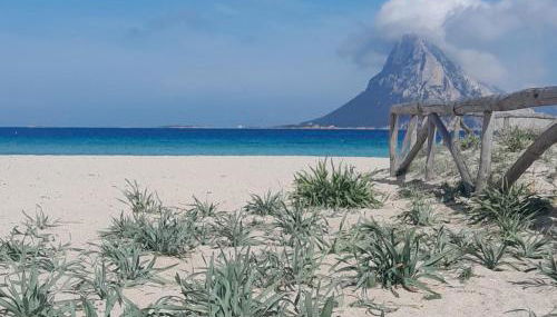 Dependance Pavoncella - Foto 3