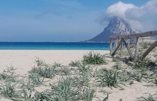 Dependance Pavoncella - Foto 3