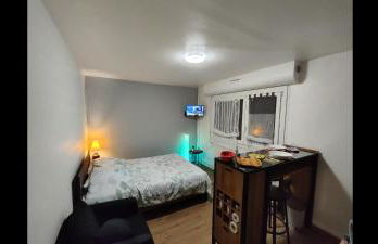 Loge Secrète - Foto 7