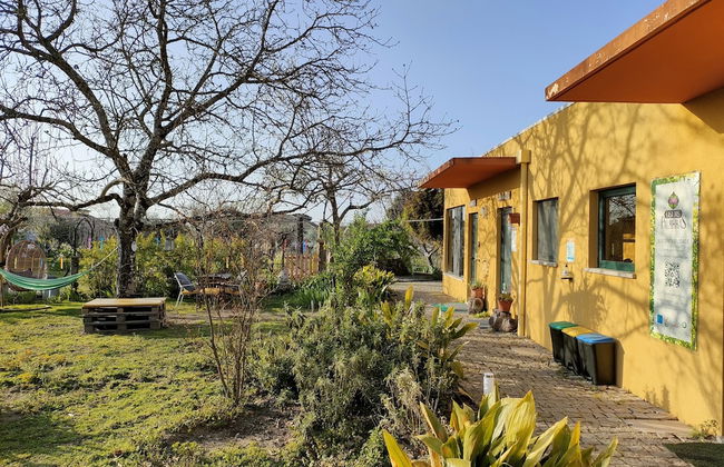 Casa das Palmeiras - Pedagogic Farm - Foto 41