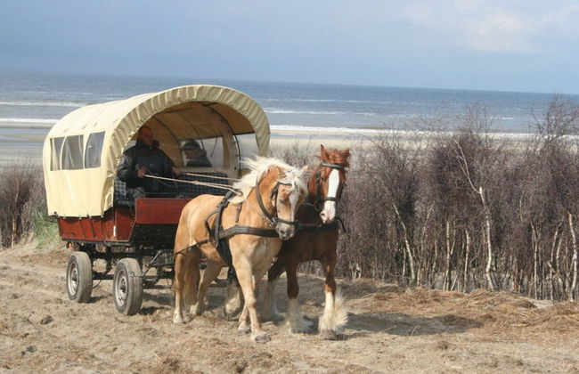 Am Januspark 14 Modern Retreat - Foto 7