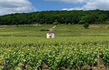 La Parenthèse Bourguignonne - Foto 19