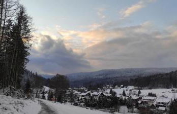 Ferienwohnung "Hirschlein" im Schwarzwald - Foto 47