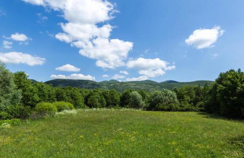 Forest Escape - Foto 31