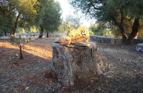 Villa Le Macchie - Foto 27