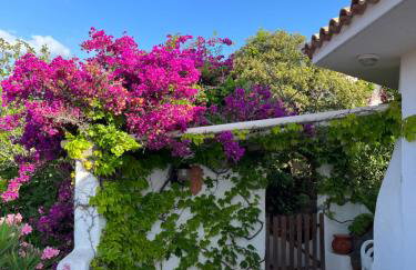 Villa LILY BAY baie de Santa Giulia-Porto Vecchio - Foto 26