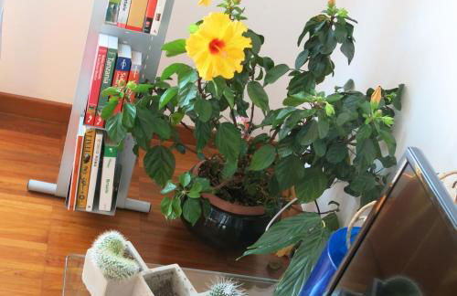 Bright and lovely private apartment in Milan - Foto 29