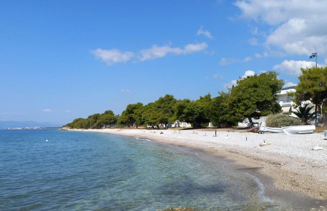 Kinetious Nisous in Kineta - Foto 23