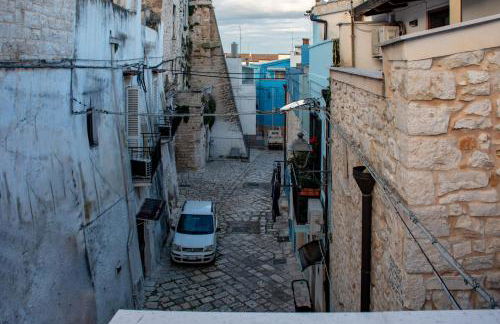 Rosa azzurra - Foto 47