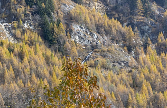 Isola di Madesimo Apartments - Foto 29