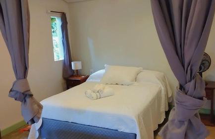 Estrela da noite - Foto 7