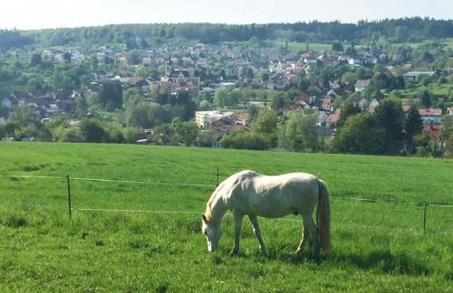 Ferienwohnung Marianne und Heinz - Foto 26