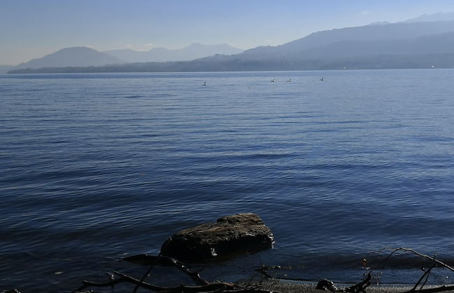 Loft Canelo - con hot tub Exclusivo, Cercano a Termas y Lago - Foto 14