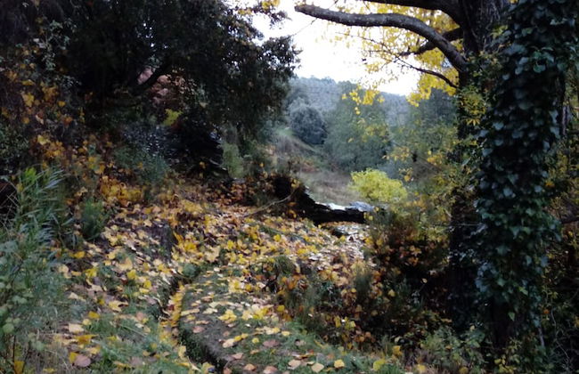 Apartamento Prunus Avium - Foto 19