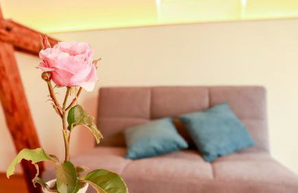 Biobauer Heubach - Foto 43