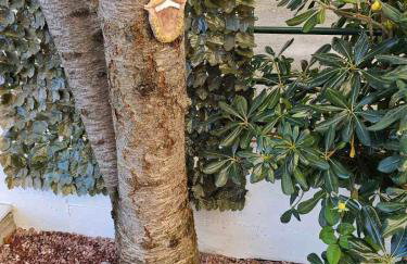 Happy Studio - Foto 35