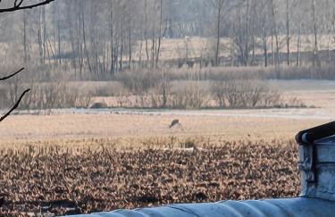 House by the Śliwno-Waniewo footbridge, close to the park - Foto 15