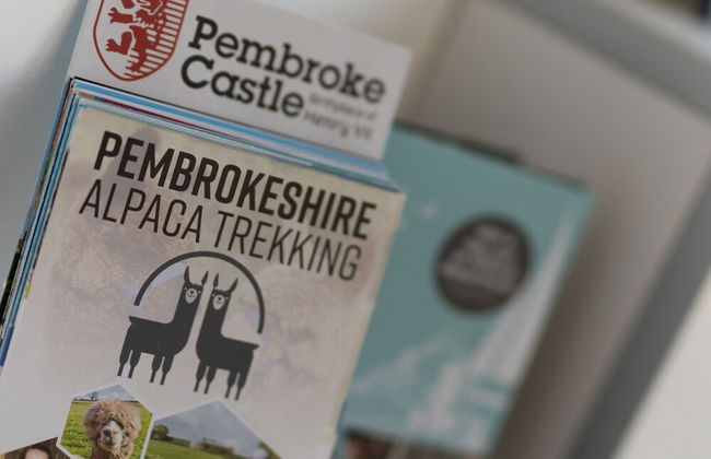 Ty Hapus - Close to Beach and Town - Photo 27