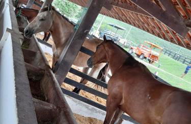 Flat Divina Paz Monte Castelo - Photo 11