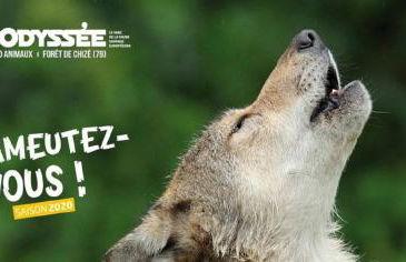 La maison du Maréchal - Foto 20