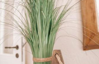 _Ferienhaus Leutesdorf Rheinzeit 614 schönes Haus direkt am Rhein - Foto 24